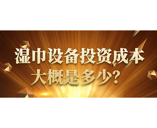 濕巾設(shè)備投資成本大概是多少？