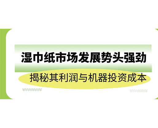 濕巾紙市場發(fā)展勢頭強(qiáng)勁，揭秘其利潤與機(jī)器投資成本