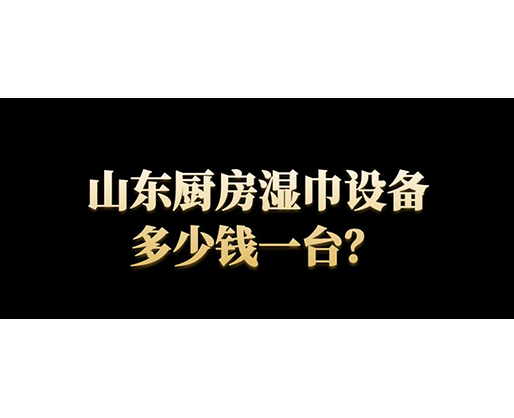 山東廚房濕巾設(shè)備多少錢一臺(tái)？
